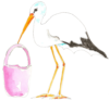 pink stork
