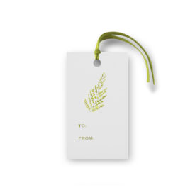 Gift tag featuring a Green fern printed on White paper.